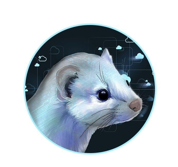 Weasel.Cloud logo